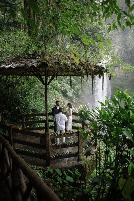 elopement-ceremony-costa-rica-rainforest-waterfalls Costa Rica Wildlife, Jungle Wedding, Waterfall Wedding, Costa Rica Wedding, Destination Wedding Locations, Elopement Locations, Destination Elopement, Forest Wedding, Tarzan