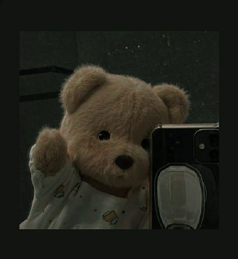 Dark Brown Teddy Bear, Aesthetic V Pictures, Y2k Pfp, Cute Squishies, Brown Teddy Bear, Tatty Teddy, Cute Simple Wallpapers, Pretty Wallpaper Iphone, Simple Wallpapers