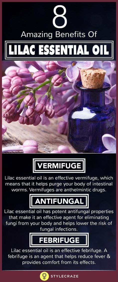 Did you know that lilac essential oil can reduce your fever? Did you know that lilac essential oil can treat kidney disease as well? If you ever wondered what the other benefits of lilac essential oil are, or are wondering what lilac essential oil is, look no further! Lilac Essential Oil, Lilac Oil, Essential Oil Hair, Kidney Donation, Essential Oils Herbs, Essential Oil Benefits, Bug Repellent, Oil Hair, Doterra Oils