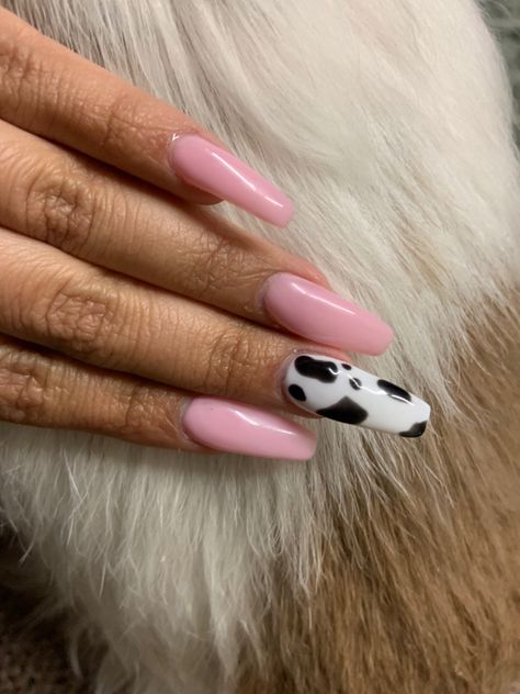 Pink Cow Print Nails Acrylic Long, Nail Designs Cow Print Pink, Sparkly Cow Print Nails, Cow Print Nails Colorful, Pink Black And White Cow Print Nails, Cow Spots, Makeup Tips, Cow, Acrylic Nails