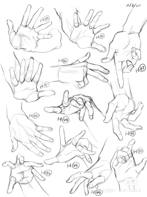 Human Anatomy Drawing, Hand Drawing Reference, Anatomy Sketches, 캐릭터 드로잉, Easy Drawings Sketches, Anatomy Drawing, Figure Drawing Reference, Guided Drawing, Drawing Practice