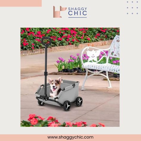 🐾🛒 Elevate Your Pet's Travel Experience with Our Versatile Pet Stroller! 🌟🚶‍♂️ 🔄 Convenient & Multifunctional Design: Ideal for small dogs and cats, offering a spacious, comfortable ride. Doubles as a practical basket for shopping, picnics, or travel. 💪 Sturdy & Safe Construction: Features reinforced stays, an anti-breakaway safety buckle, and a thickened PVC base for ultimate pet security and stroller longevity. 🌟 Compact & Easy Storage: Boasts a one-handed fold to just 20CM thickness, ma... Folding Trolley Cart, Cat Stroller, Dog Cart, Car Travel Accessories, Folding Cart, Folding Trolley, Dog Cage, Dog Stroller, Pet Stroller