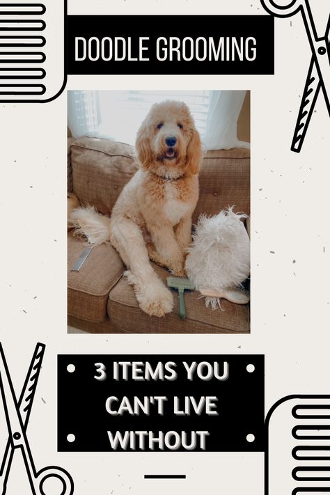 Tips for keeping your Doodle mat free Grooming Doodles At Home, Doodle Grooming, Puppy Life, Matted Hair, You Doodle, First Haircut, Hair Problems, Last Post, Grooming Tools