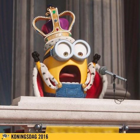 Minions Wallpaper Cute, King Bob, Minions Minions, Minions Bob, Cute Minions, Minions Wallpaper, Wallpaper Cute, Random Memes, Minion