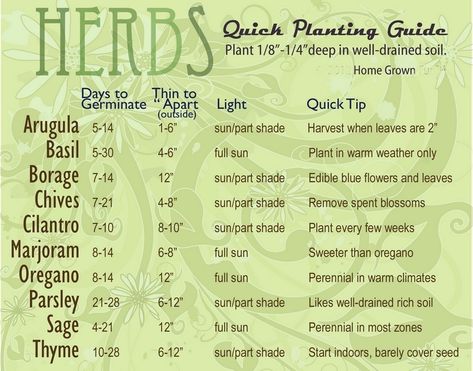 herb seed germination chart Herb Planting, Gardening Infographic, Part Shade Plants, Growing Raspberries, Growing Herbs Indoors, Planting Guide, Indoor Herb, Full Sun Perennials, Full Sun Plants