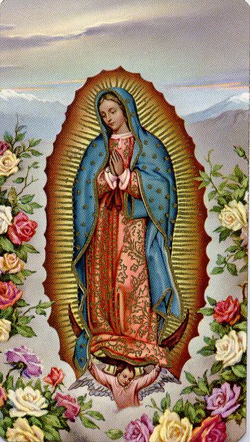 Our Lady Of Guadalupe, Lady Of Guadalupe, Our Lady, Virgin Mary