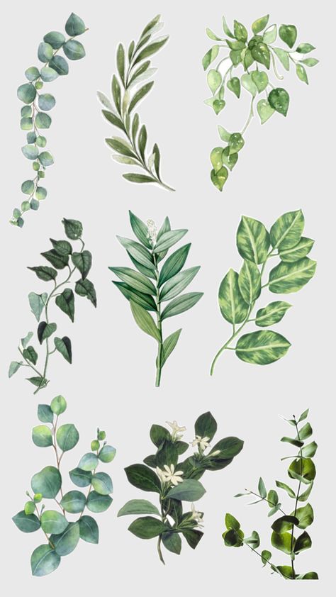 Sourav Ganguly Art, Aesthetic Flower Stickers Printable, Printable Cutouts, Plants Printable, Green Scrapbook, Printable Leaves, Vintage Paper Printable, Instagram Graphics, Green Sticker