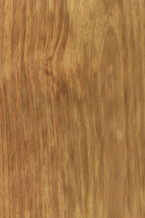 KOROSEAL - KOA ACACIA FC Brown Oak Wood Texture, Oke Wood Texture, Venner Texture Seamless, Natural Teak Wood Texture Seamless, Wood Texture Seamless, Bali House, Wood Sample, Koa Wood, Light Wood