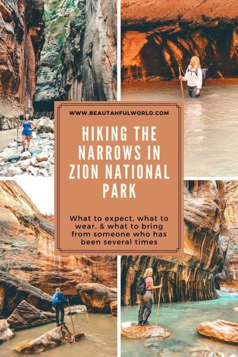 Zion Narrows Hike, The Narrows Zion, Zion National Park Hikes, Hiking The Narrows, Riverside Walk, The Narrows, Angels Landing, Utah Hikes, Utah Travel