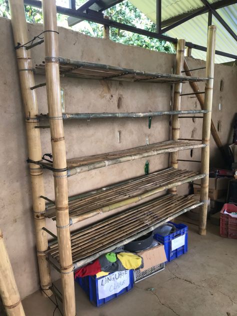 Plant Shelf Diy, Orphanage Ideas, Bamboo Shelves, Shelf Diy, Bamboo Plant, Bamboo Shelf, Plant Shelf, Cob House, Bamboo Plants