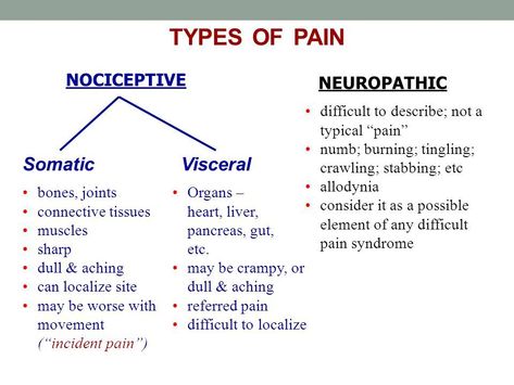 Pain Management Nursing, Pain Assessment, Nursing Instructor, Nurse Teaching, Review Notes, Medical Assistant Student, Nurse Notes, Nursing Assessment, Nurse Study