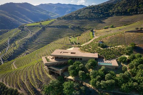 Douro Hotel & Winery 2 – OODA Wineries Architecture, Green Roof Building, Floating Architecture, Architecture Building Design, Casa Exterior, Home Building Design, Green Roof, Brutalism, Site Plan