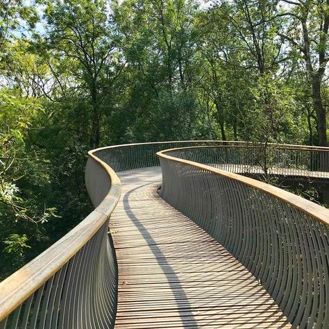 Bridge Landscape Architecture, Amphitheater Landscape, Timber Walkway, Treetop Walkway, Living Bridge, Elevated Walkway, Tree Bridge, Mark Thomas, Arch House