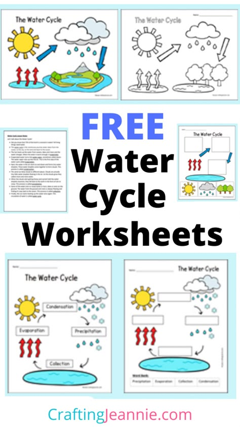 Water Cycle Worksheets Evaporation And Condensation, Water Theme Preschool, Water Cycle Lessons, Water Cycle Craft, Water Cycle Model, Water Cycle For Kids, Water Cycle Poster, Water Cycle Project, Rain Cycle