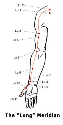 Punkty Spustowe, Meridian Acupuncture, Acupuncture Points Chart, Meridian Lines, Meridian Points, Acupressure Therapy, Medical Anatomy, Acupuncture Points, Acupressure Points