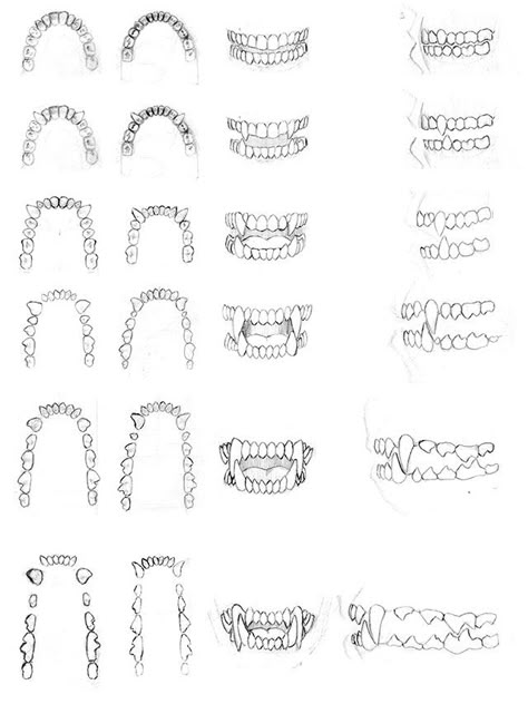 Teeth Studies - 2002 by dirktiede on DeviantArt Different Types Of Teeth, Werewolf Teeth, Types Of Teeth, Teeth Drawing, Teeth Art, Mouth Drawing, 얼굴 드로잉, Werewolf Art, Creature Drawings