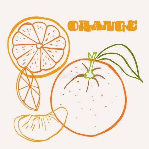 Fruit Line Illustration, Orange Line Drawing, Lime Branding, Orange Tattoo Fruit, Line Art Fruit, Orange Doodles, Orange Line Art, Orange Doodle, Grapefruit Plant