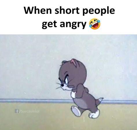 Get Angry, Short People, Humor, Memes, Funny, Humour