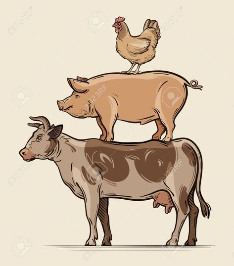 Farm Animals. Cow, Pig Chicken Beef ... Cow Pig Chicken, Chicken Tattoo, Chicken Vector, Pig Drawing, Barn Pictures, Vegan Tattoo, Chicken Painting, Pork Meat, Pig Farming