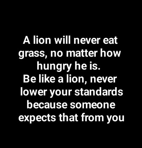 Never lower your standards Never Lower Your Standards Quotes, Lower Your Standards Quotes, Never Lower Your Standards, Standards Quotes, Body Positive Quotes, Like A Lion, Word Up, Meaningful Quotes, Body Positivity