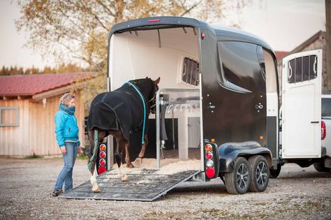 Horse Safety, Horse Transport, Equine Veterinarian, Horse Farm Ideas, Horse Reference, Healthy Horses, Dream Stables, Animal Experiences, Motion Sickness