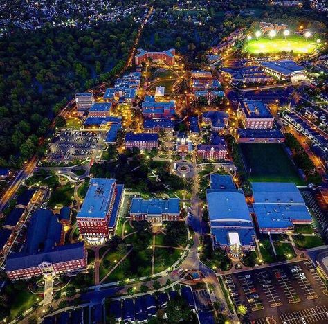 The University of Dayton Dayton Flyers, Basement Inspiration, Dorm Room Designs, University Of Dayton, Dream College, Personal History, College Life, Colleges And Universities, Picture Wall