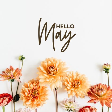 Hello May 💛 Hope this new month brings new perspectives, new goals and new places to visit. Along with more money, love and happiness! ♥️ What are you looking forward to this May? SHARE to welcome the new month💛 Follow @isafamilyfun for more Laughs, Tips and Travel #newmonthvibes #hellomay #taurusseason #moneymanifesting #loveinspiration #goodhealthandwellbeing #healthychoises #ɢᴏᴏᴅᴠɪʙᴇs #manifestingabundance #manifestingmindset Happy May 1st Quotes, May 1st Quotes, May 1 Quotes, Hello May Quotes, Welcome May, May Quotes, Hello April, May 1st, Happy May