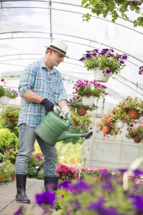 Gardener Reference, Person Watering Plants, Gardener Portrait, Gardening Outfit Aesthetic, Gardener Clothes, Gardener Photography, Plants In Greenhouse, Man Gardening, Gardener Outfit