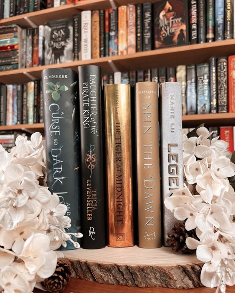 Whats a book that got you out of a reading slump?⁠ .⠀⁠ All of these books have saved me from a reading slump at different times, and are my go-to recs for anyone stuck in a slump!⁠ .⠀⁠ #bookshelves #bookstagram #readersofinstagram #bookstack #bookrecommendations reading slump book recommendations ya fantasy and romance books book aesthetic bookshelves bookshelf book stack Books Aesthetic Bookshelves, Aesthetic Bookshelves, Reading Slump, Marie Lu, Dark Academia Fashion, Academia Fashion, Ya Fantasy, Book Stack, Stack Of Books