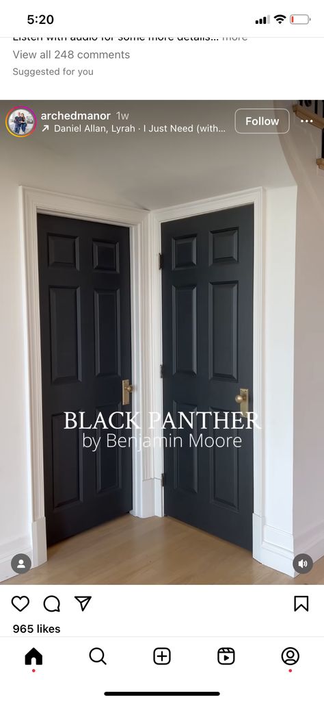 Benjamin Moore Black Panther, Benjamin Moore Black, Cottage Style Homes, Benjamin Moore, Black Panther, Cottage Style, Panther, Kitchen Ideas, Paint Colors