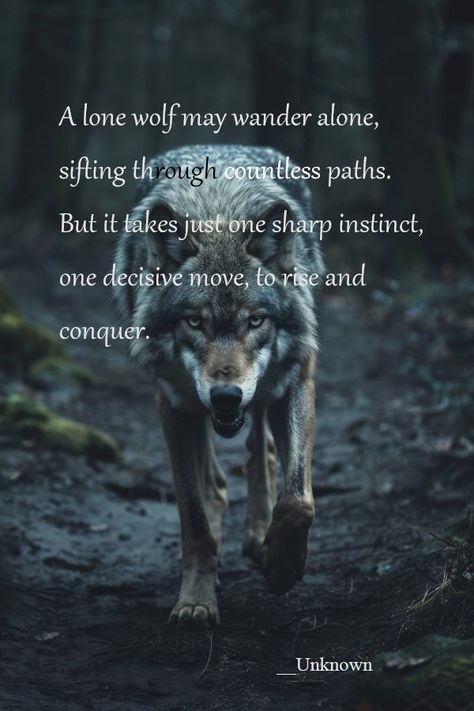 Pins reflecting the strategic nature of the lone wolf. Loan Wolf Quote, Quotes About Wolves, Wolf Quotes Strength, Black Wolf Aesthetic, Wolf Mentality, Wolf Meaning, Wolf Pack Quotes, The One You Feed, Lone Wolf Quotes