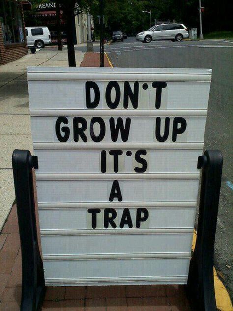 Don't Grow Up, It's A Trap ... Reality Check, E Card, Funny Signs, A Sign, True Words, Bones Funny, Great Quotes, Funny Photos, Peter Pan