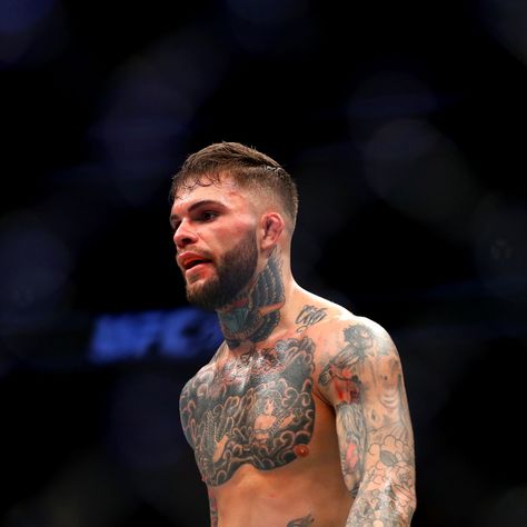 Ufc Workout, Cody Garbrandt, Ufc Fighters, Kickboxing, Ufc, Jon Snow, Fictional Characters, Quick Saves, Art