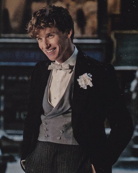 Newt Scamander Aesthetic, Eddie Redmayne Fantastic Beasts, Beau Film, Newt Scamander, Eddie Redmayne, Fantastic Beasts And Where, Fictional Crushes, Sirius Black, Harry Potter Characters