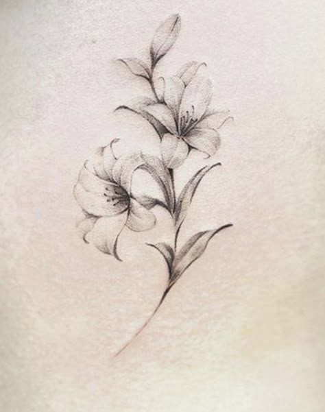 Elegant Lily Tattoo, Tattoo Of A Lily Flower, Lily Flower And Butterfly Tattoo, Tiger Lillie Tattoo, Lilac And Lily Tattoo, Lily And Lily Of The Valley Tattoo, St Joseph Lily Tattoo, Fineline Lily Tattoo, Vvv Tattoo