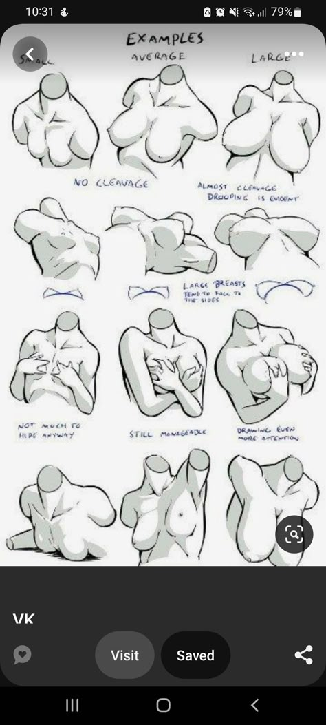 Drawing Female Body, Anatomy Sketches, Different Poses, Body Reference Drawing, Basic Drawing, 캐릭터 드로잉, Female Anatomy, Poses References, Anatomy Drawing