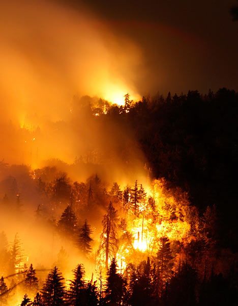 Wildland Fire, Wildland Firefighter, California Wildfires, Living In Colorado, Fire Image, Fire Photography, Wild Fire, Forest Fire, Fire And Ice