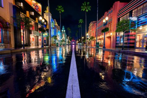 Hollywood Boulevard in the Rain Hollywood Blvd, Night Sky Photography, Los Angeles Travel, Disney Photography, Hollywood Boulevard, Taking Photos, Disney Theme Parks, Hollywood Studios, In The Rain