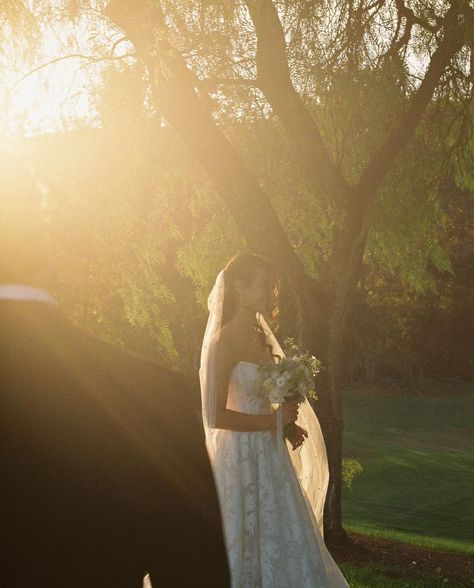 Film Photography Aesthetic Wedding, Wedding Pictures On Film, Film Inspired Wedding Photography, Bridal Family Photos, Film Style Wedding Photography, Classy Wedding Photos, Artsy Wedding Photography, Wedding Photos Aesthetic, Aesthetic Wedding Photos