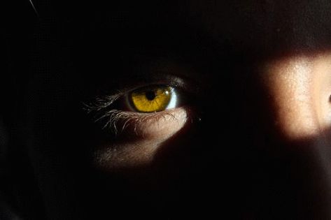 Hawke Flynn, Werewolf Aesthetic, Alphonse Elric, Aesthetic Books, Golden Eyes, Male Eyes, Gold Eyes, Yellow Eyes, The Heirs