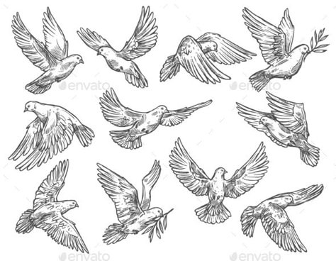 Pigeon Flying with Olive Branch, Vector Sketch #Olive, #Flying, #Pigeon, #Sketch Pigeon Flying Drawing, Pigeon Flying, Sketch Bird, Pigeon Tattoo, Electric Art, Dove With Olive Branch, Flying Pigeon, Dove Flying, Dove Tattoo Design