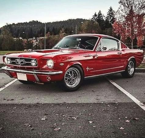 Car Mustang, 1967 Mustang, 1965 Ford Mustang, 1965 Mustang, Old Vintage Cars, Ford Mustang Fastback, Classic Mustang, Mustang Fastback, Old School Cars