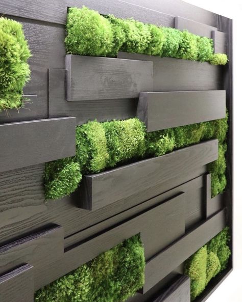 Green Wall Garden, Green Wall Design, Metal Garden Fencing, Interior Design Plants, Compound Wall Design, Garden Wall Designs, Indoor Plant Wall, Framed Plants, Hot Tub Garden