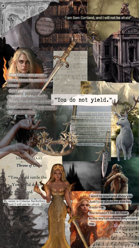 Aelin Galathynius x Who’s afraid of little old me #aelingalathynius #aelingalathinyus #celaenasardothien #throneofglass #ttpd #thetorturedpoetsdepartment #whosafraidoflittleoldme #taylorswift Throne Of Glass Collage, Ailen Galathynius, Aelin Galathynius Wallpaper, Faerie Books, Tog Fanart, Sarah Maas, Sjm Universe, Throne Of Glass Fanart, Sara J Maas