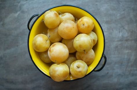 Vanilla Yellow Plum Jam Yellow Plum Jam, Plum Jam Recipe, Plum Preserves, Golden Plum, Food In Jars, Plum Jam Recipes, Low Sugar Jam, Prune Fruit, Plum Recipes