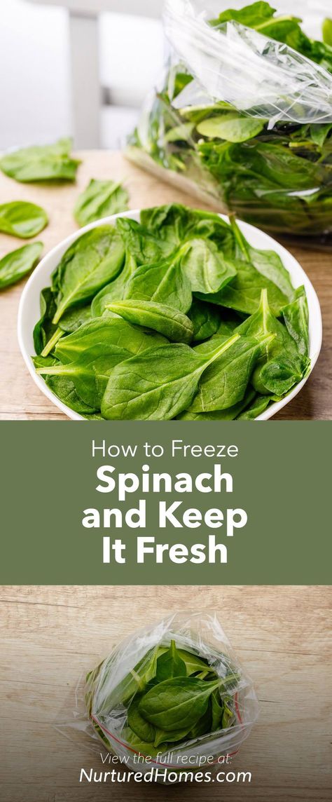 Spinach Recipes Easy, Freeze Spinach, Spinach Dips, Best Spinach Recipes, Avocado Smoothie Recipes, Spinach Dip Easy, Avocado Smoothie Recipe, Spinach Benefits, Yummy Veggies