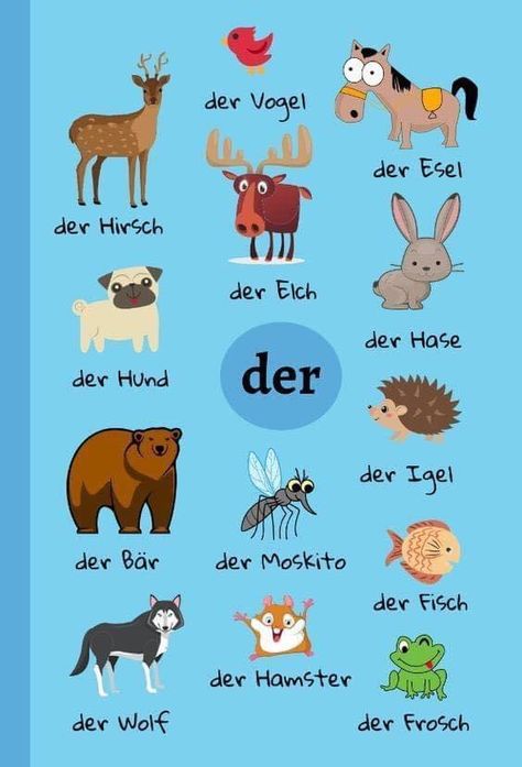 German Nouns, Learning Animals, German Phrases Learning, German Lessons, German Learning, Deutsch Language, Language Journal, Learn English For Free, Study German