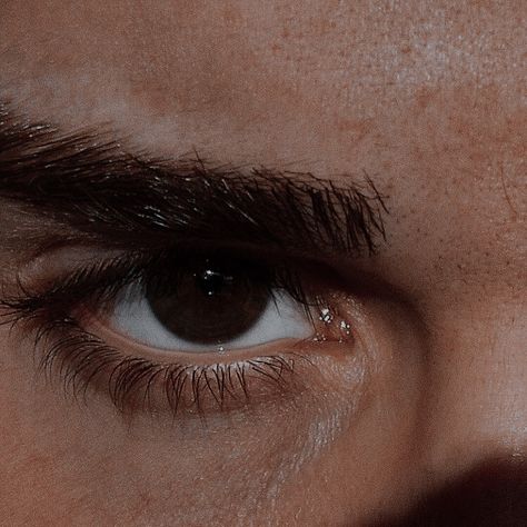 Brown Eyes Aesthetic Male, Enzo Vitale, Brown Hair Brown Eyes Guy, Rigel Wilde, Brown Eyes Aesthetic, Brown Eye Boys, Dark Haired Men, Aesthetic Widgets, Sinking Ship