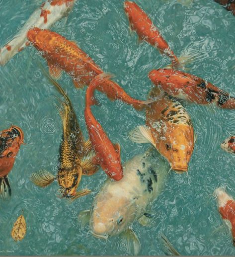 Mac Backgrounds, Hyper Realism, Computer Background, Computer Backgrounds, Fish Swimming, Fish Painting, Fish Art, Koi Fish, Realism