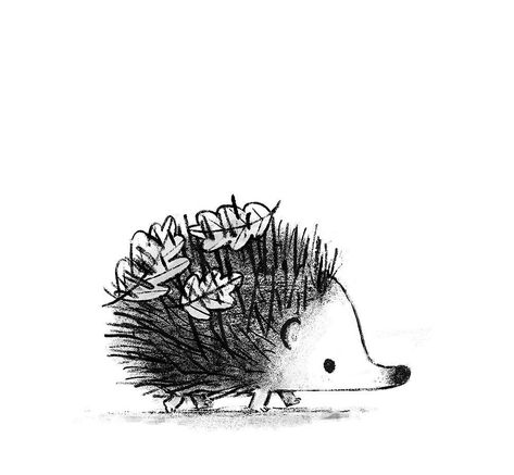 Stylised Animals, Children's Wallpaper, Hedgehog Tattoo, Hedgehog Drawing, Hedgehog Illustration, Woodland Animal Art, Book Poster, Hedgehog Art, Cute Hedgehog